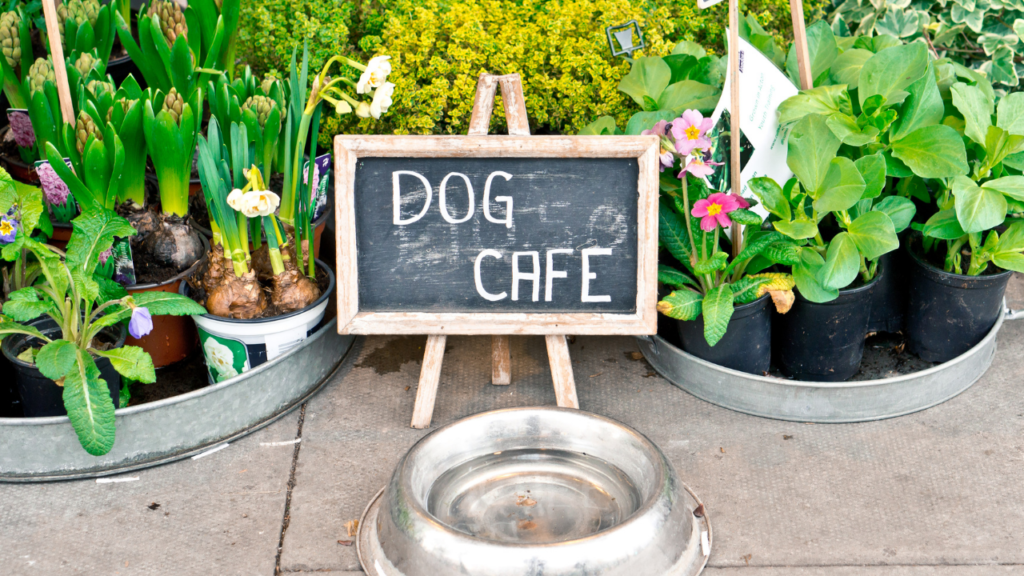 dog cafe