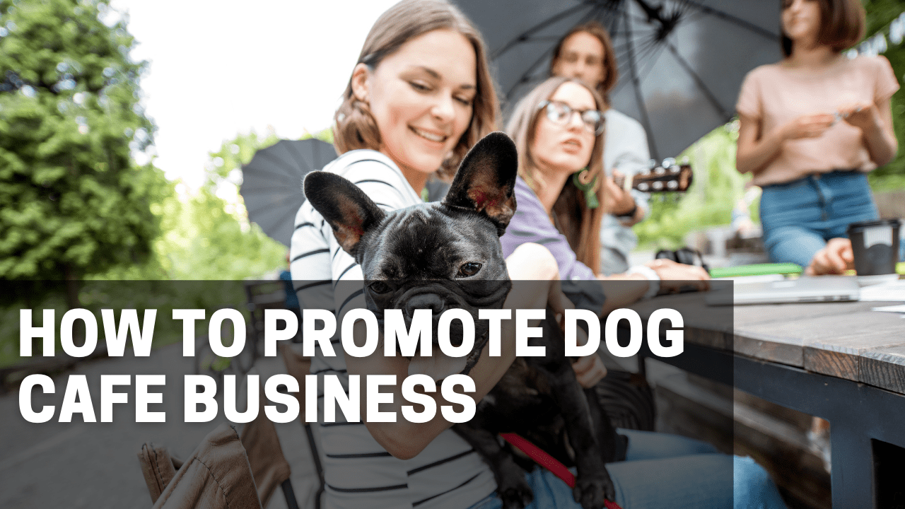 How to Promote Dog Cafe Business