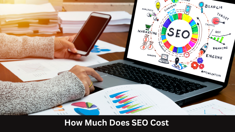 How Much Does SEO Cost  [An Unbiased Answer]